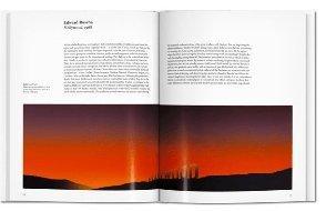 Pop Art - Libro - Dfav